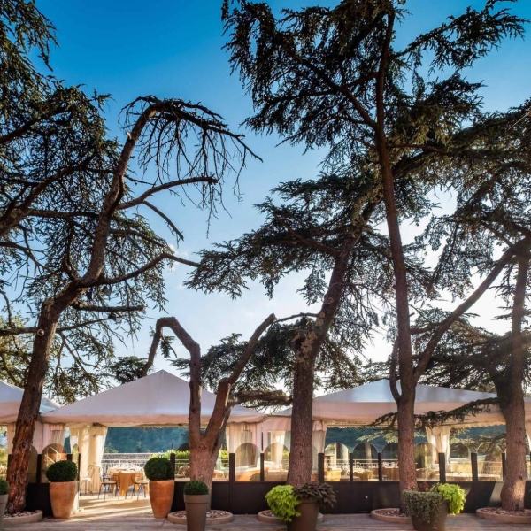 Repas de groupe - Hotel Restaurant Sous Les Pins - restaurant ETOILE-SUR-RHONE