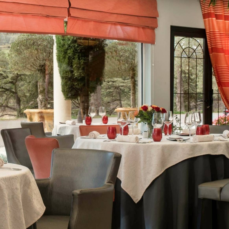 Hotel Restaurant Sous Les Pins - restaurant ETOILE-SUR-RHONE