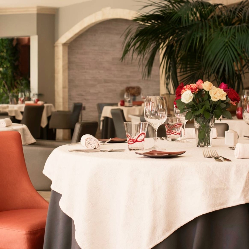 Hotel Restaurant Sous Les Pins - restaurant ETOILE-SUR-RHONE