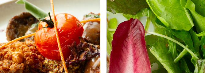 Hotel Restaurant Sous Les Pins - restaurant ETOILE-SUR-RHONE - Restaurant Portes les Valence